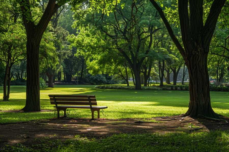Квест в реальности Старинный город Дмитров: островок спокойствия в Подмосковье от компании Quest Planet Квест в реальности Старинный город Дмитров: островок спокойствия в Подмосковье от компании Quest Planet